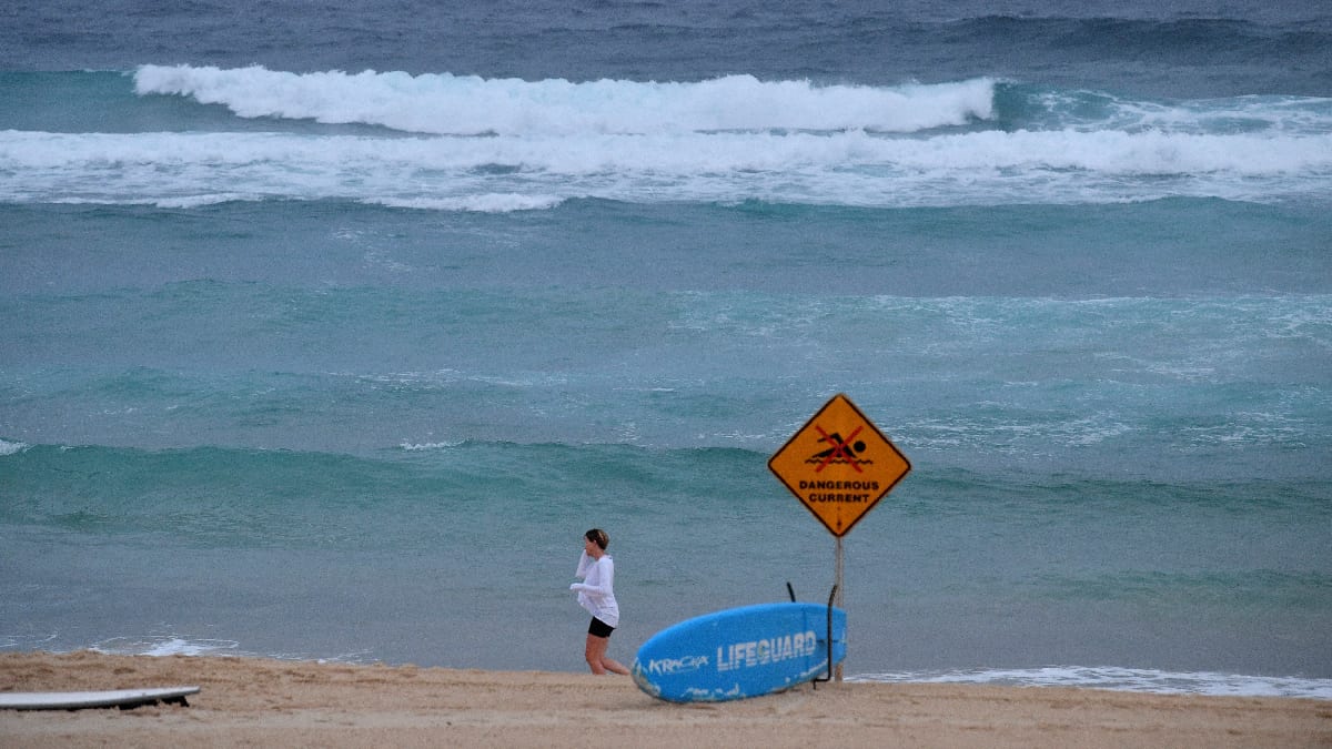Recuperaron restos humanos en playa de Sídney tras ataque de tiburón