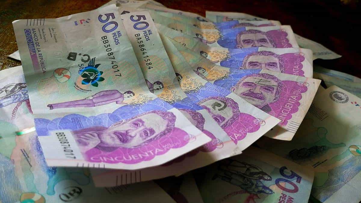 Subsidio de $500.000 a jóvenes en Bogotá que no estudian ni trabajan