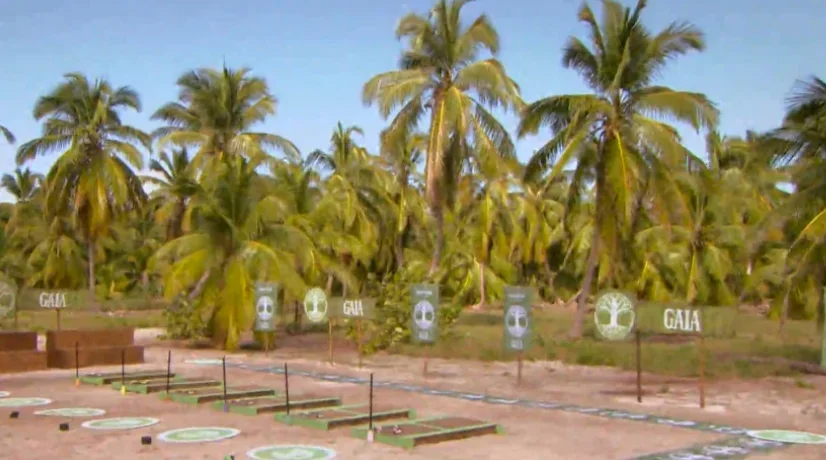 Survivor: la unificación marca el inicio de nueva etapa