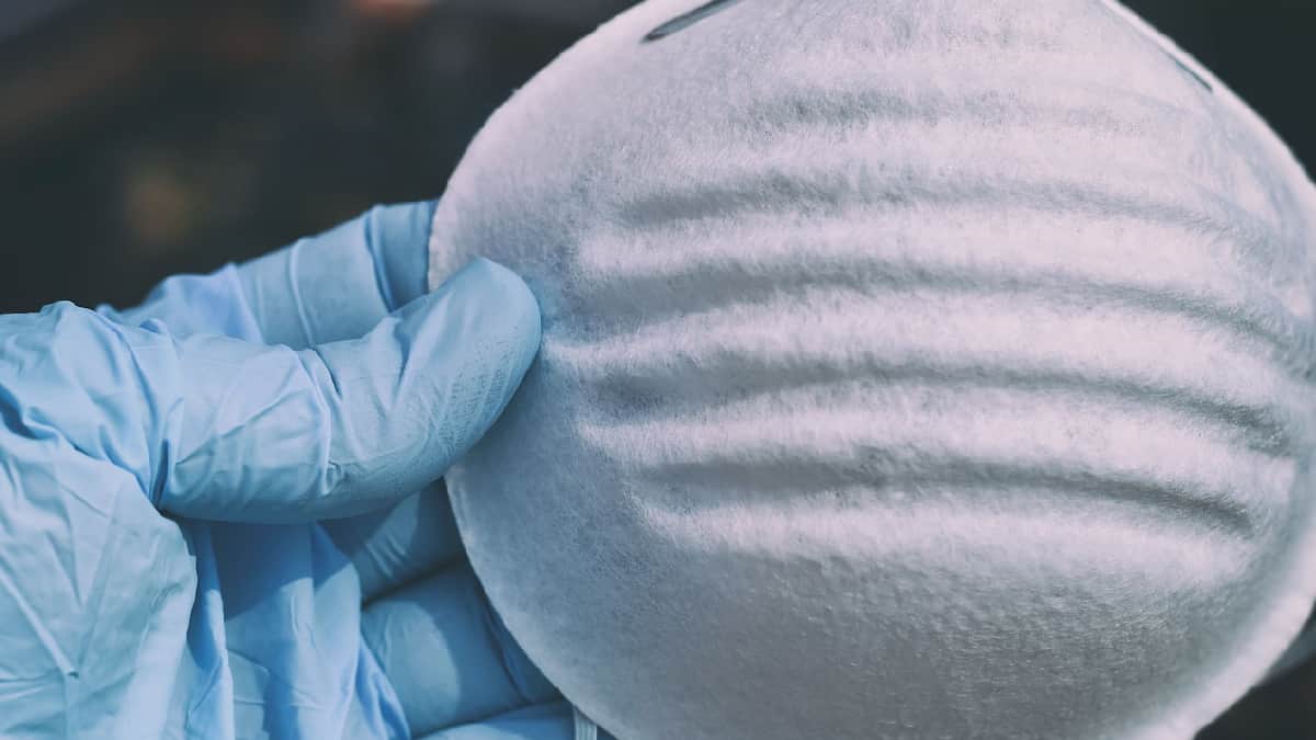 Imagen de referencia