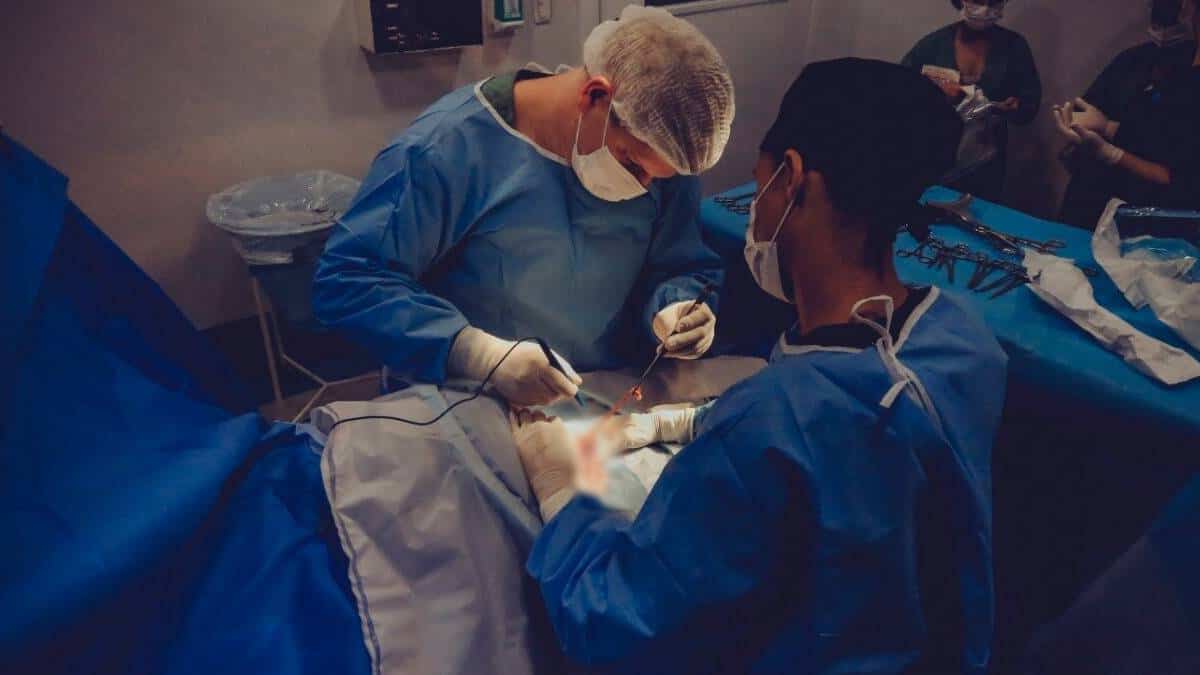 Transplante renal: alternativa para pacientes con insuficiencia