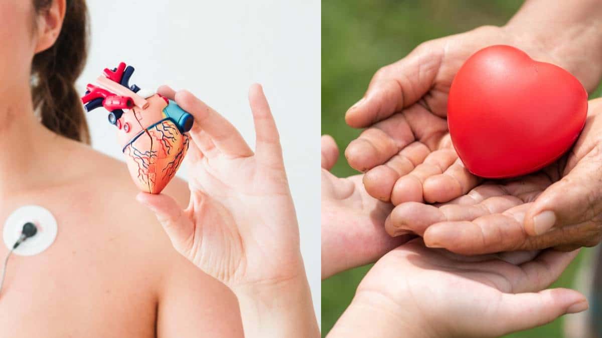 Mitos sobre los trasplantes de órganos