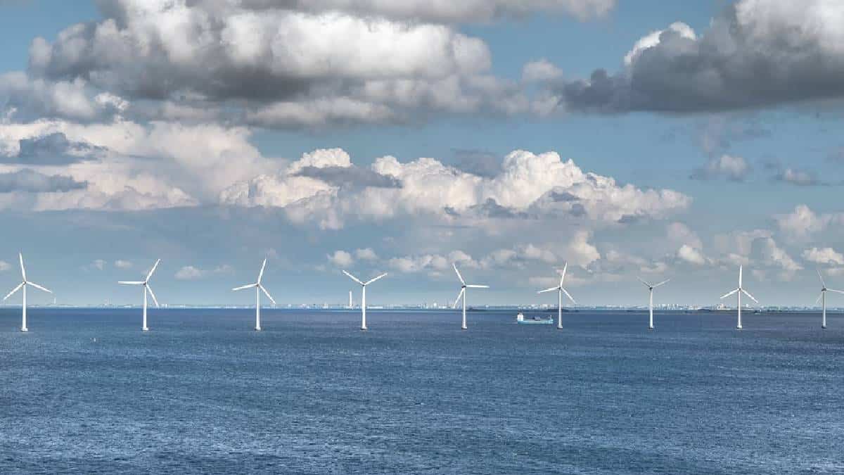 Barranquilla tendrá primer parque eólico marino de Latinoamérica