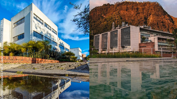 Prestigioso ranking reveló las mejores carreras de Colombia: hay 23 en el top 100 mundial