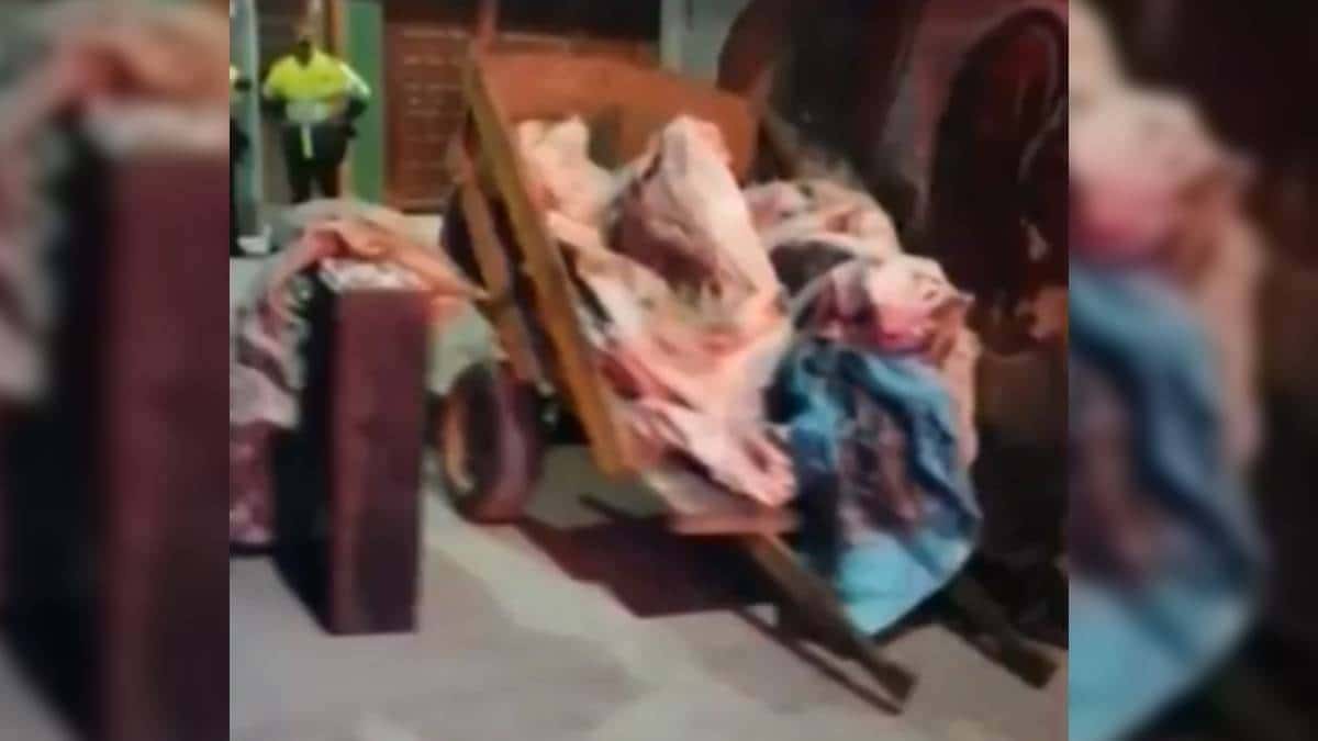 Identifican personas que aparecieron muertas en carreta