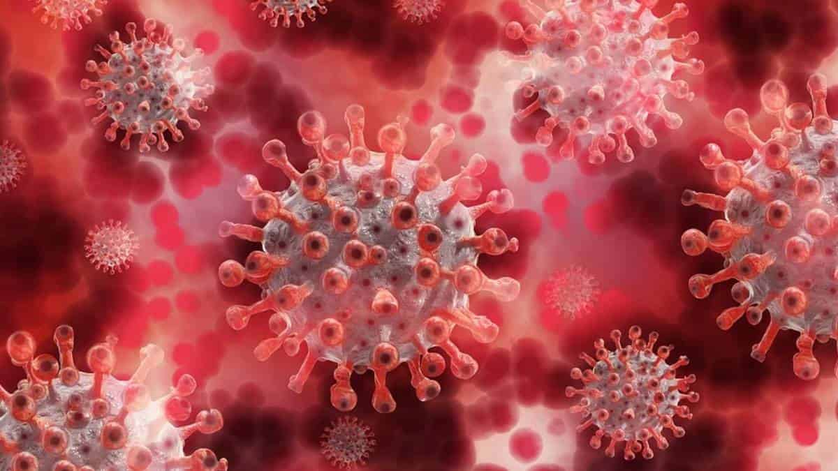 Variante coronavirus