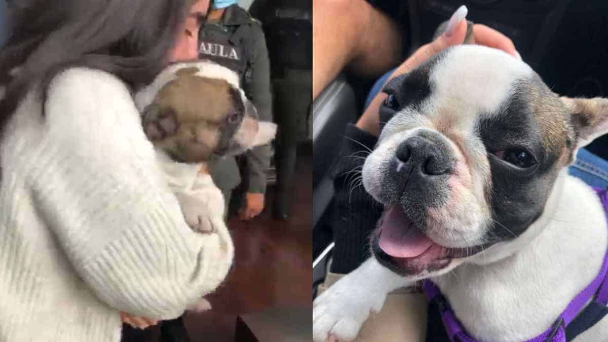 Venus ya se encuentra sana y salva con su familia