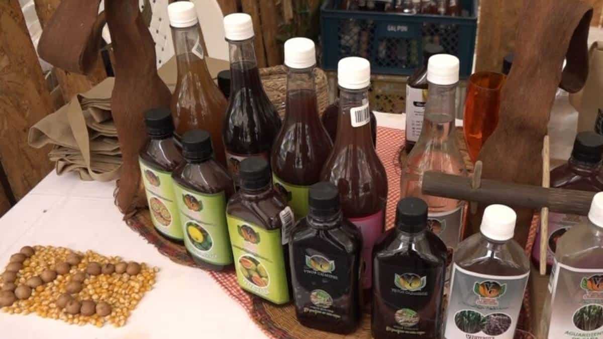 Congreso aprobó proyecto que convierte al viche en patrimonio del Pacífico colombiano