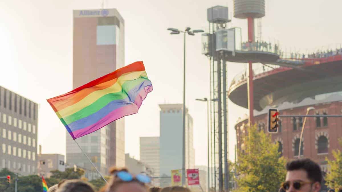 Diputados franceses votan no contra terapias de reorientación sexual.