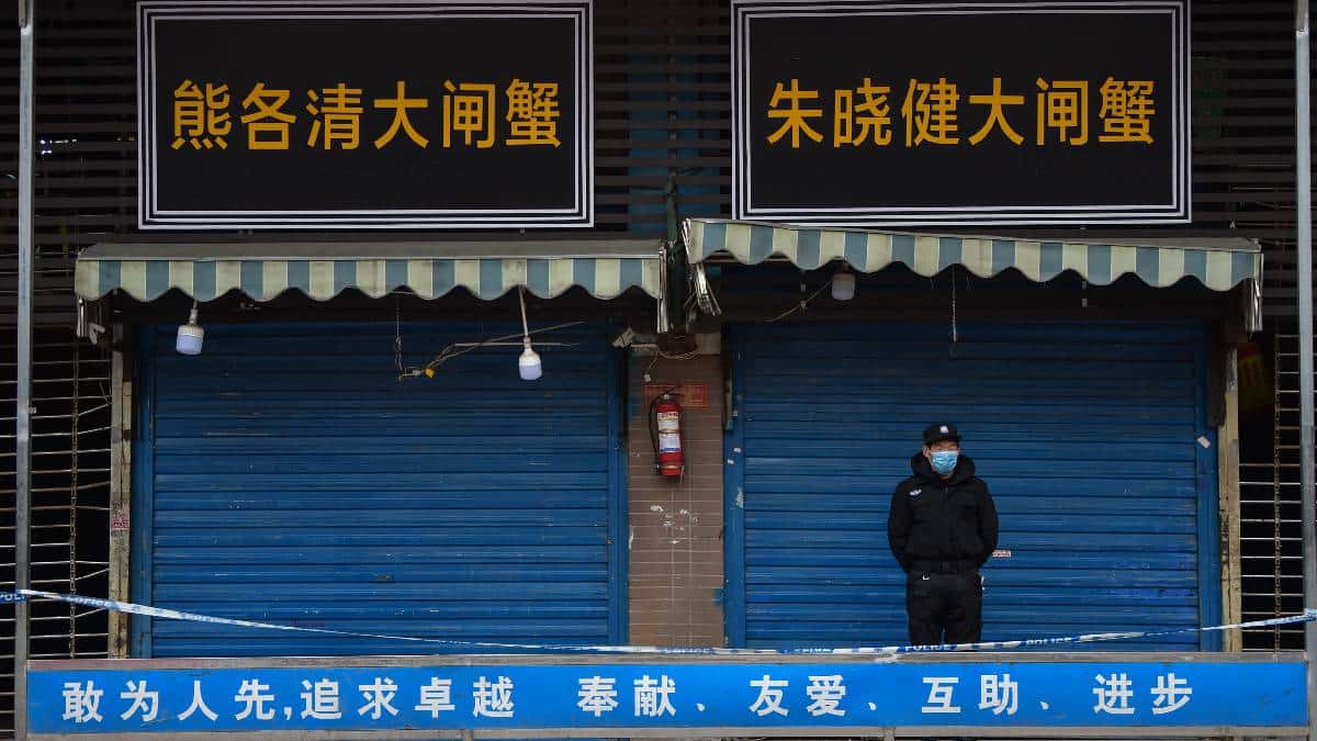 ¿Animales de Wuhan comenzaron la pandemia?