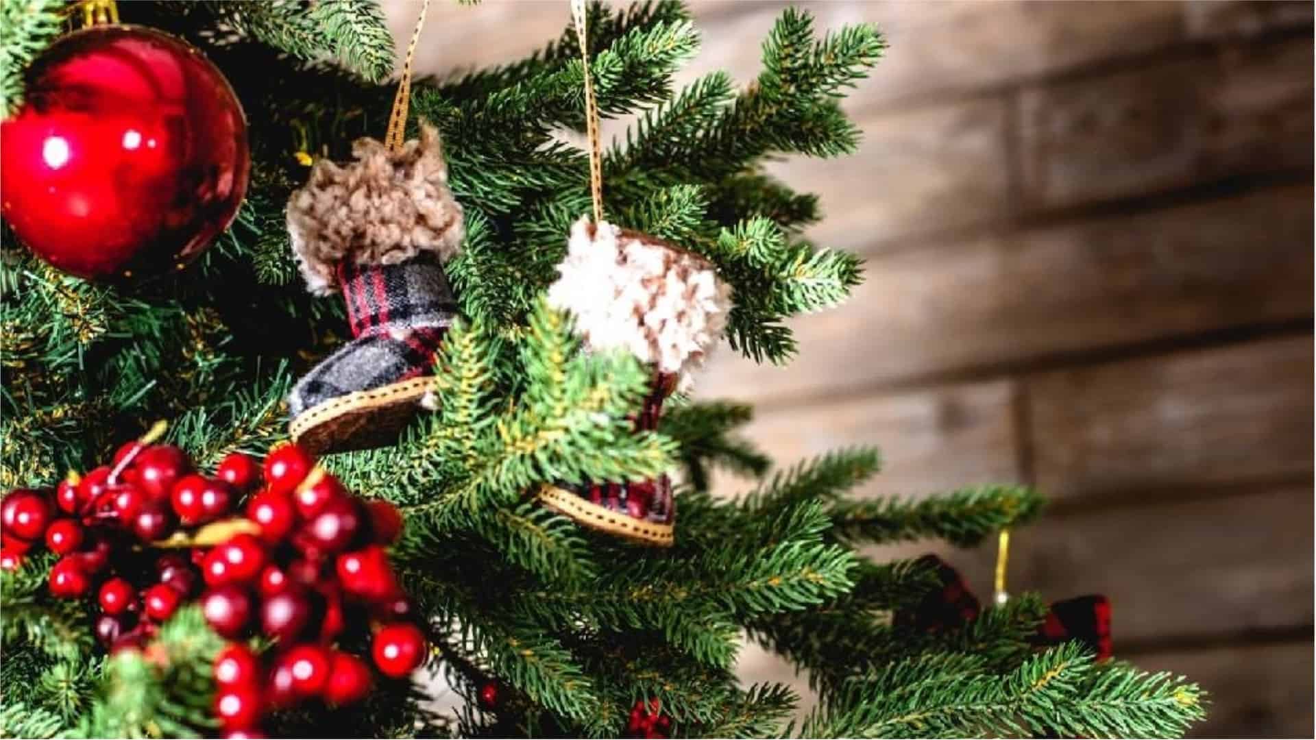 Las curiosas exigencias de una niña de 10 años a Papá Noel