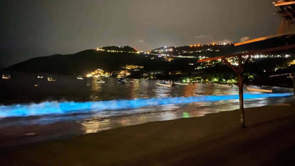 El espectacular fenómeno natural que iluminó las playas de Acapulco