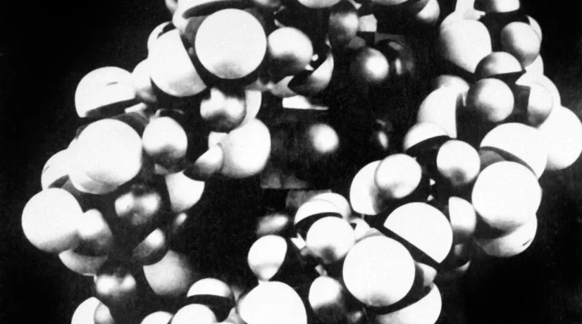 Los investigadores probaron varias soluciones químicas para extraer ADN.