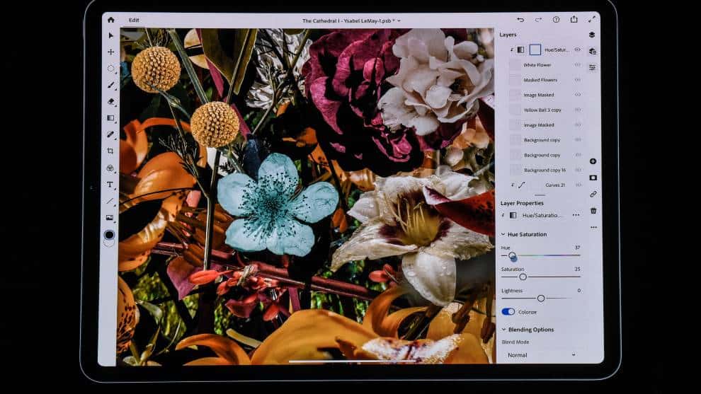 Adobe anunció que seguirá prestando sus servicios en Venezuela