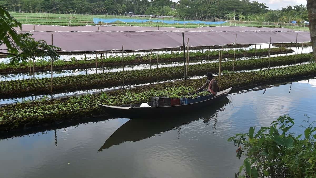 Cambio climático y su impacto en la agricultura