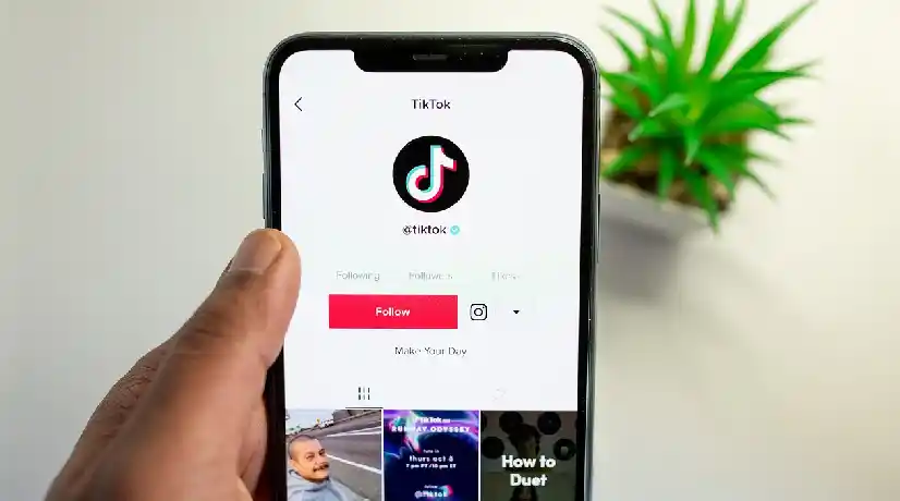 Alerta por Tiktok