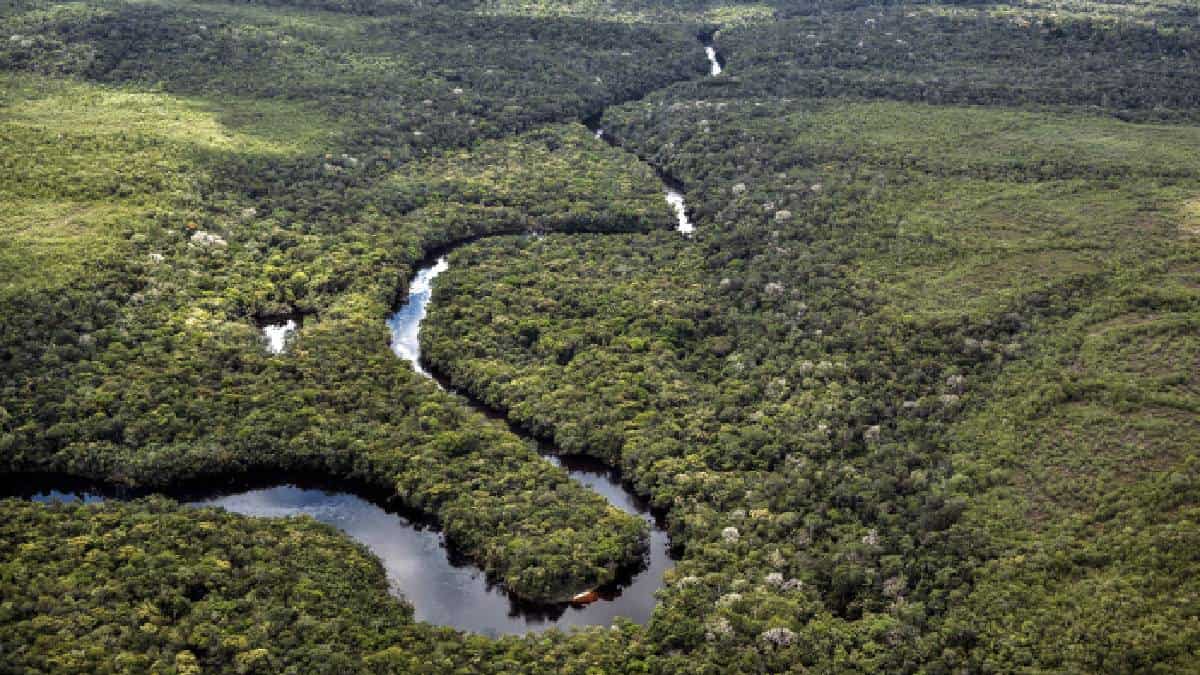 Selva amazónica está a punto de convertirse en fuente de emisión de CO2