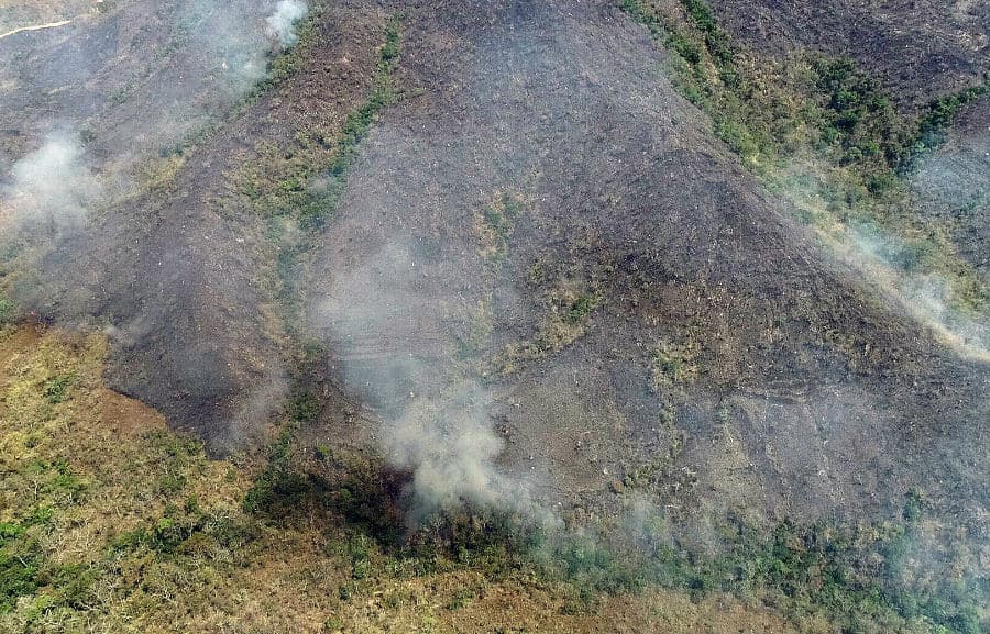 Policía captura a sospechosos por incendios en la Amazonía