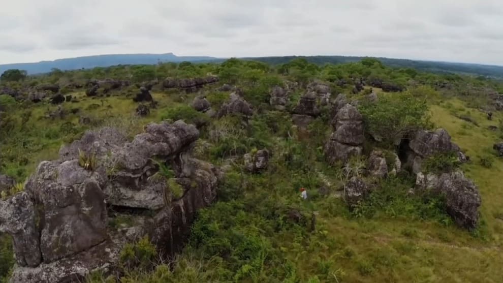 Las consecuencias de la deforestación en la Amazonia Colombiana
