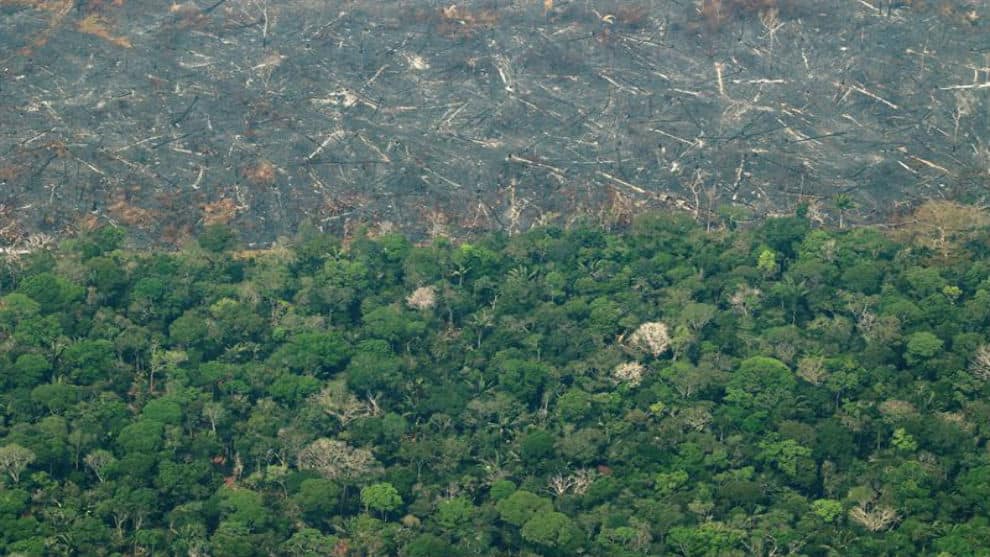 Los impactos de la tragedia ambiental en la Amazonía