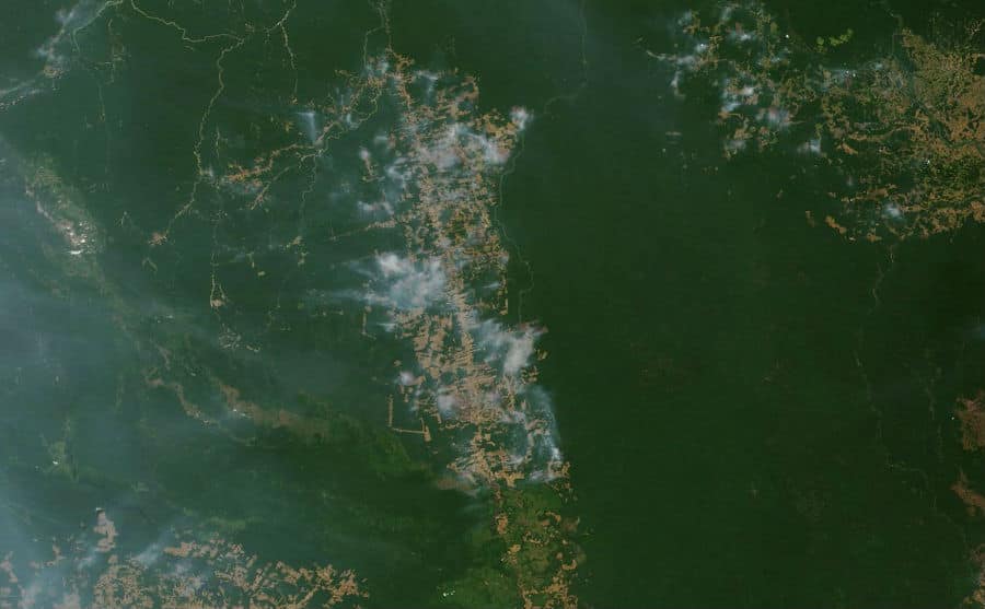 Más de la mitad de los 79.513 incendios registrados en Brasil este año tuvieron lugar en la Amazonia. Foto: NASA