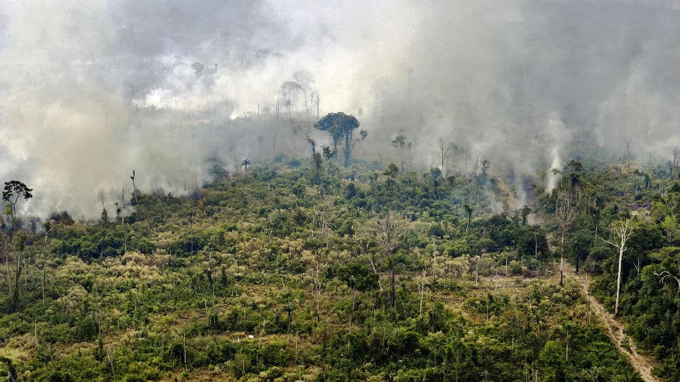 El G7 ofrece 20 millones de dólares para combatir incendios en la Amazonia.