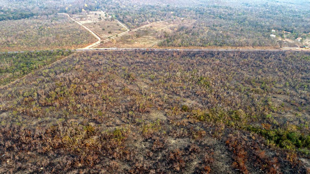 Convocan a protestas por la Amazonía frente a embajadas de Brasil en el mundo