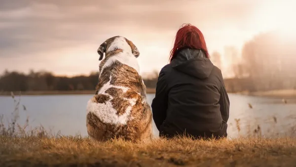 ¿El nuevo mejor amigo del hombre? La ciencia revela un animal tan inteligente y cariñoso como los perros ¿El nuevo mejor amigo del hombre? La ciencia revela un animal tan inteligente y cariñoso como los perros