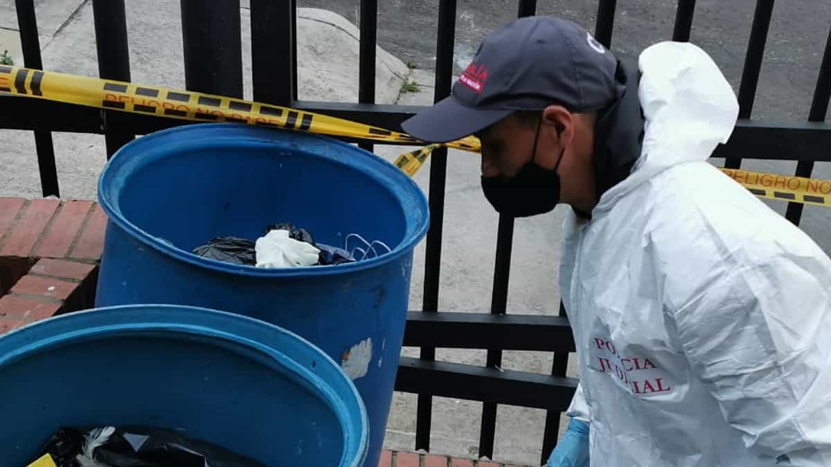 Hallan cadáveres de animales en edificio de Bogotá