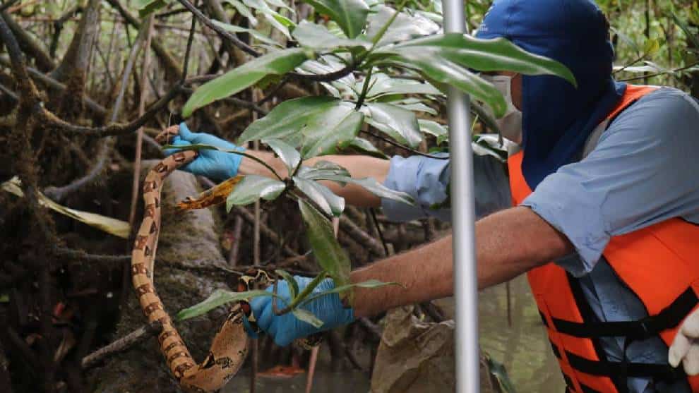 La magia de la biodiversidad en medio de la pandemia