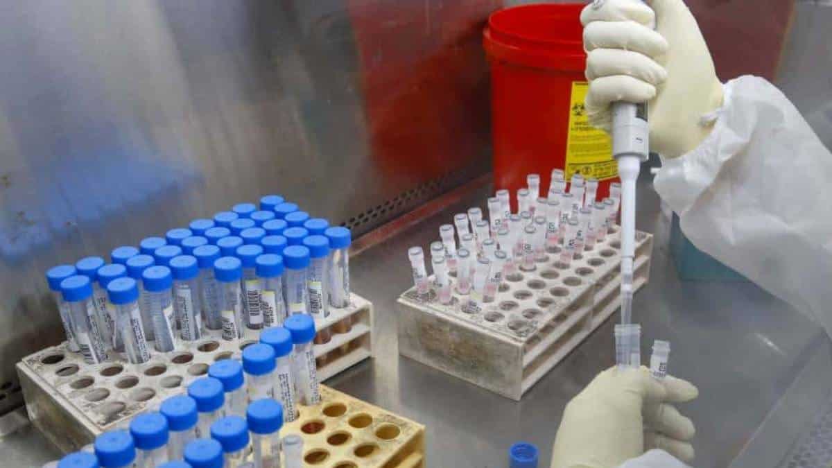 Coronavirus en el mundo