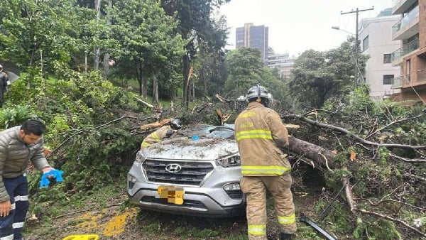 Dos personas quedaron atrapadas tras la caída de un árbol sobre un vehículo particular Dos personas quedaron atrapadas tras la caída de un árbol sobre un vehículo particular
