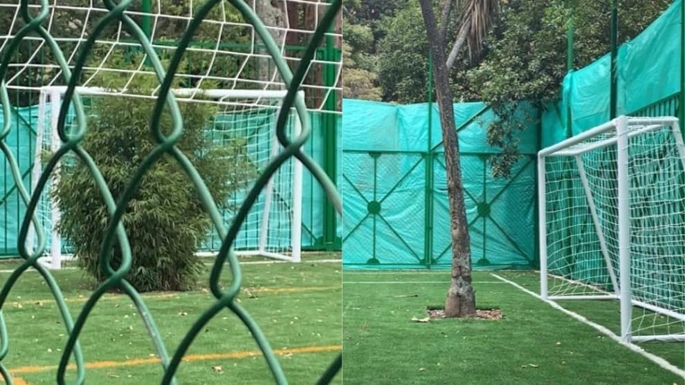 ¿Son jugadores? Los árboles que dejaron sembrados en una cancha de futbol construida en Bogotá