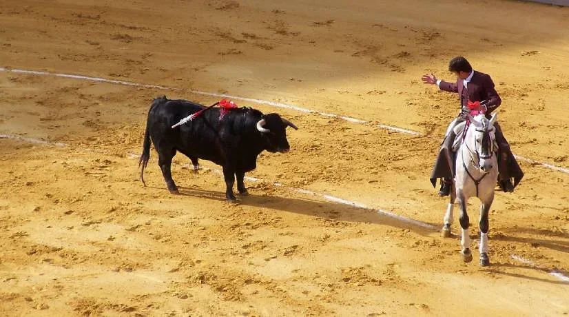 Archivan proyecto para acabar corridas de toros