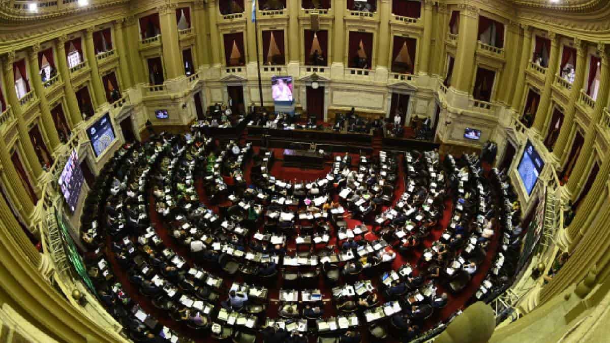 Amnistía Internacional entregó 250.000 firmas a favor del aborto legal en Argentina