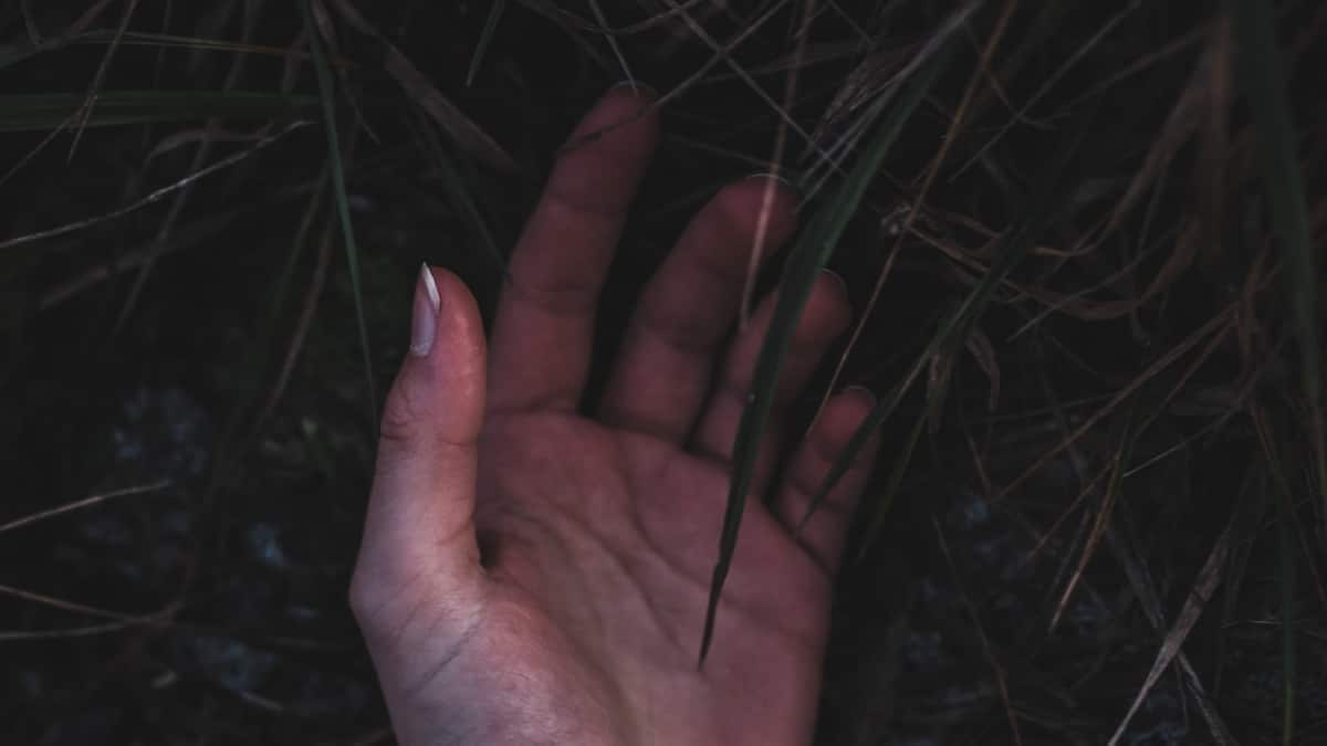 Mujer decapitó a su amiga para quedarse con su dinero