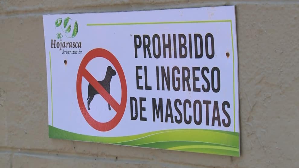 Perro atacó a niño