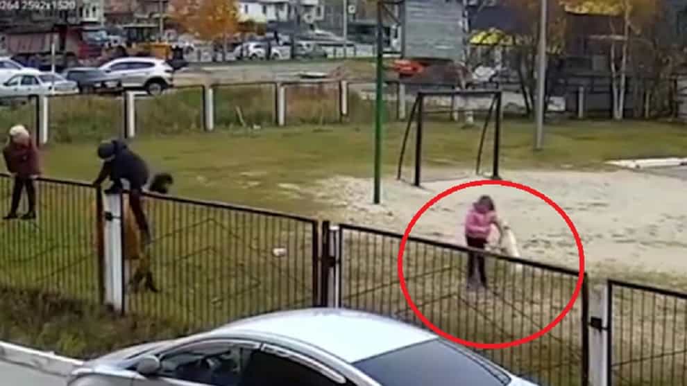 Dramático: El ataque de un perro a varios menores en una escuela en Rusia