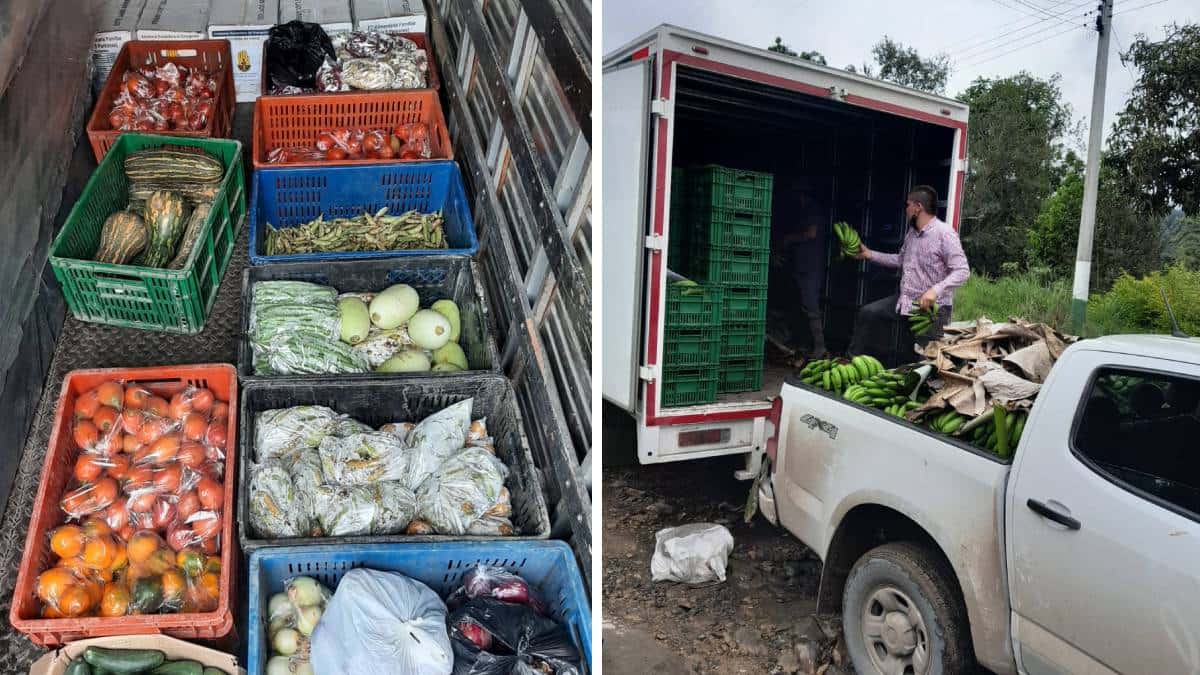 Gobernación busca rescatar agricultores afectados por invierno