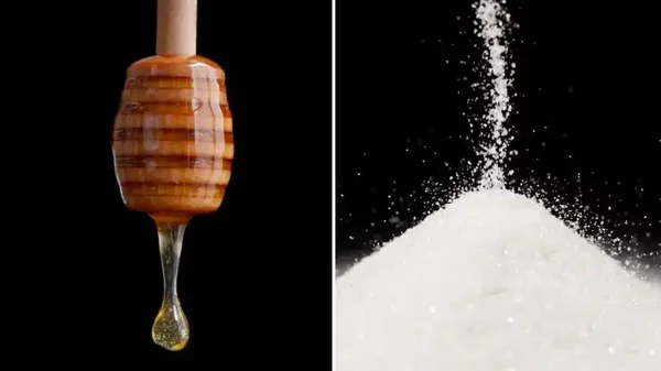 Azúcar vs. miel: ¿Cuál sube más los niveles de glucosa en la sangre? Azúcar vs. miel: ¿Cuál sube más los niveles de glucosa en la sangre?