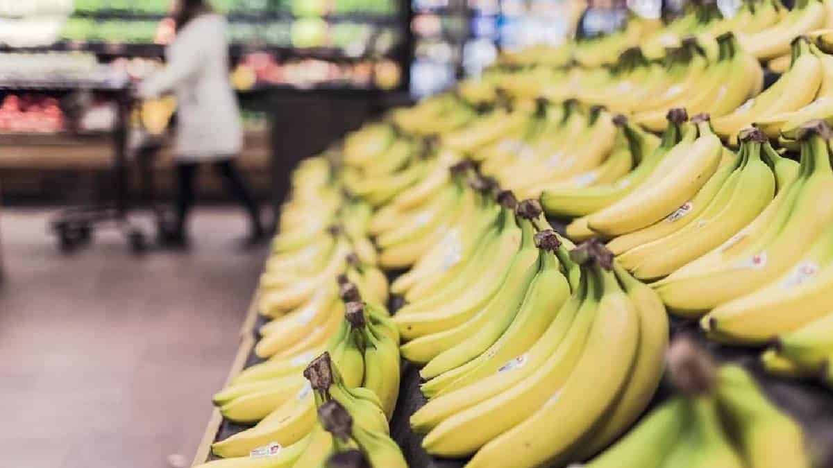Los bananos poseen un porcentaje mínimo de radioactividad