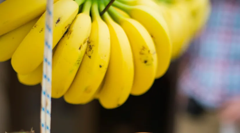 Imagen de referencia tomada de Unsplahs Niño se volvió viral por cómo vende bananos