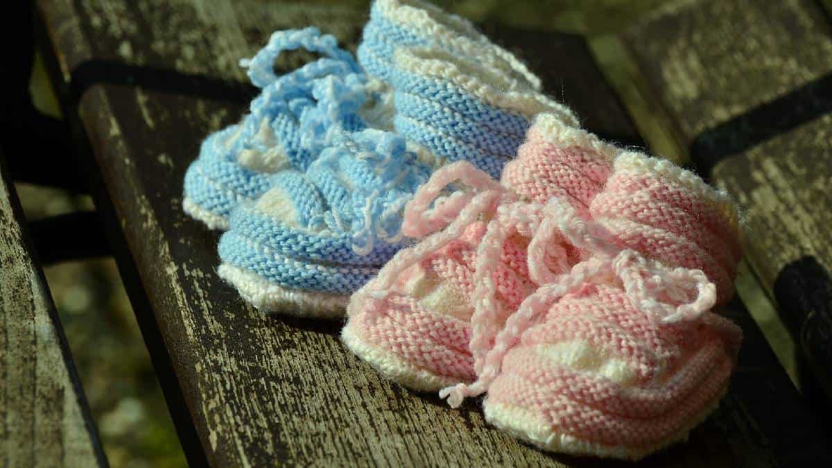 Mellizas sudafricanas.