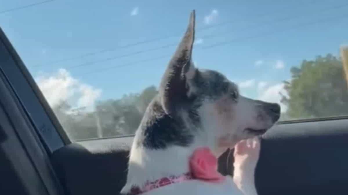 Belle fue maltratada por 12 años