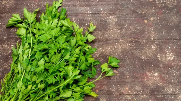 El increíble poder del perejil para la salud de los riñones: conozca los beneficios y propiedades El increíble poder del perejil para la salud de los riñones: conozca los beneficios y propiedades