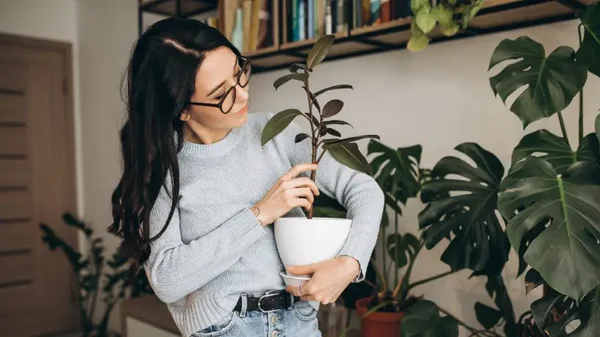 ¿Qué tienen en común las plantas y la salud mental? Estos son los sorprendentes beneficios ¿Qué tienen en común las plantas y la salud mental? Estos son los sorprendentes beneficios