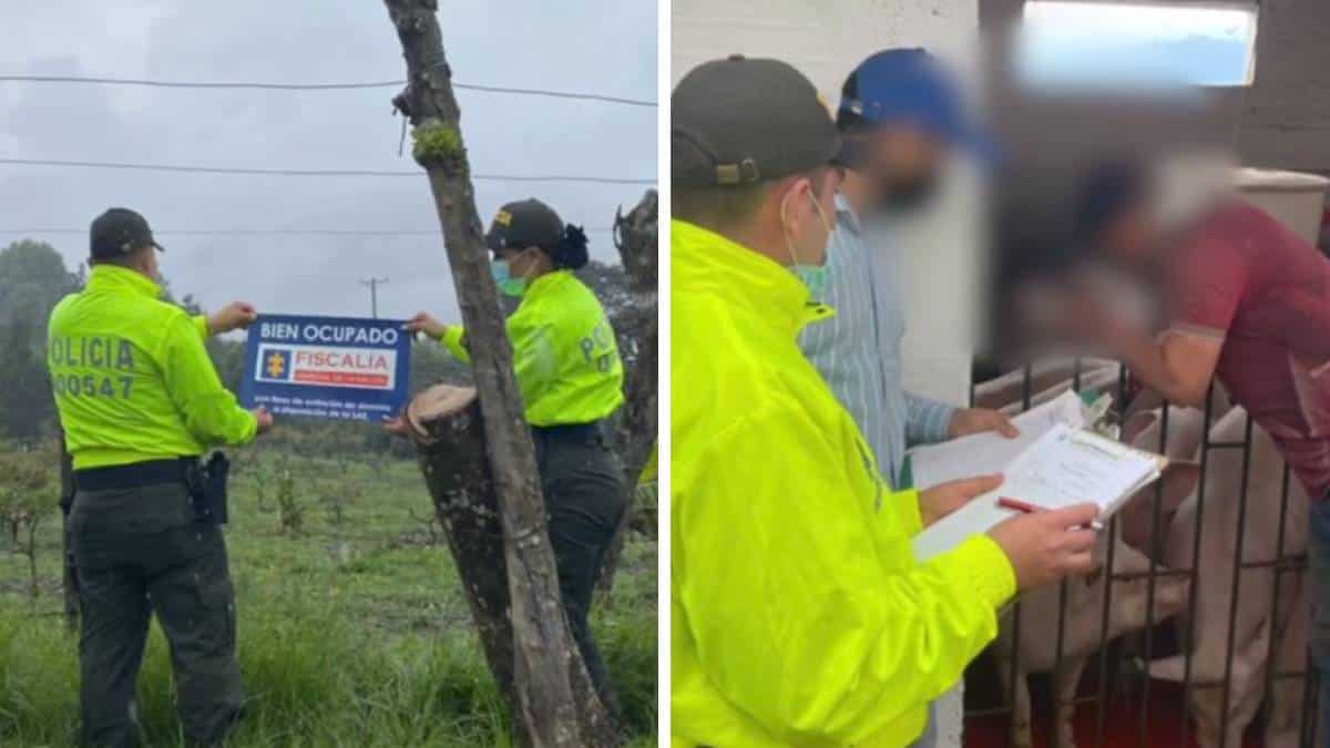 Fiscalía ocupó bienes a organización que enviaba drogas a Chile