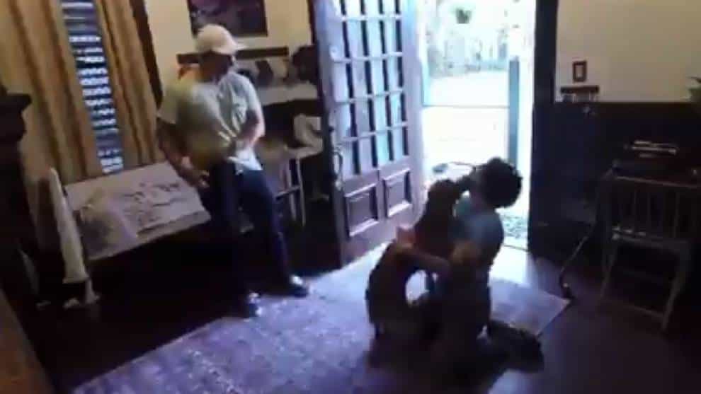 La bienvenida de un perro a su dueña luego de 328 días sin verla