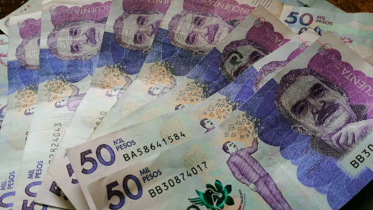 ¿Cómo reactivar el Ingreso Solidario si este le fue suspendido?