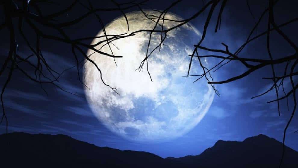 El Halloween es con el Planetario Nocturno